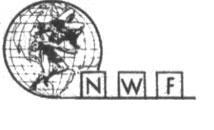 NWF Pro Wretling